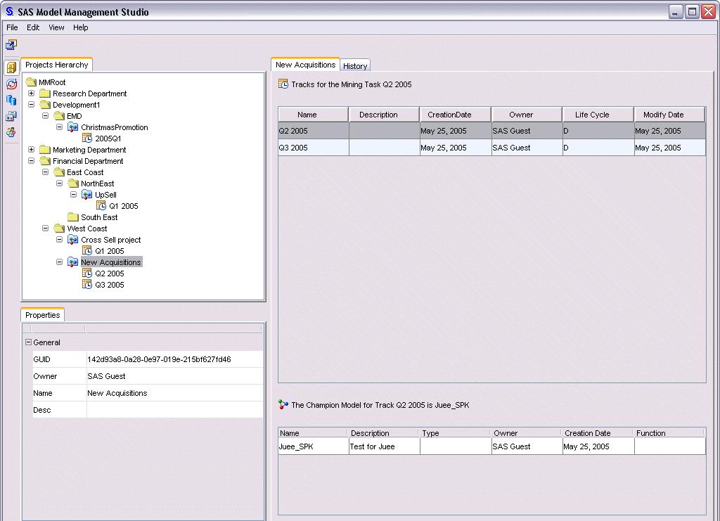SAS Model Management Studio Client Interface Customizable Project