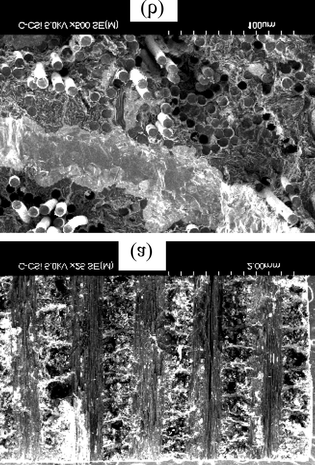 Effect of Silicon Infiltration on the Mechanical Properties of 2D Cross-ply Carbon-Carbon Composites decreased, tensile strength decreased from 235 MPa of the C/C composite to 41 MPa of the C/C-Si