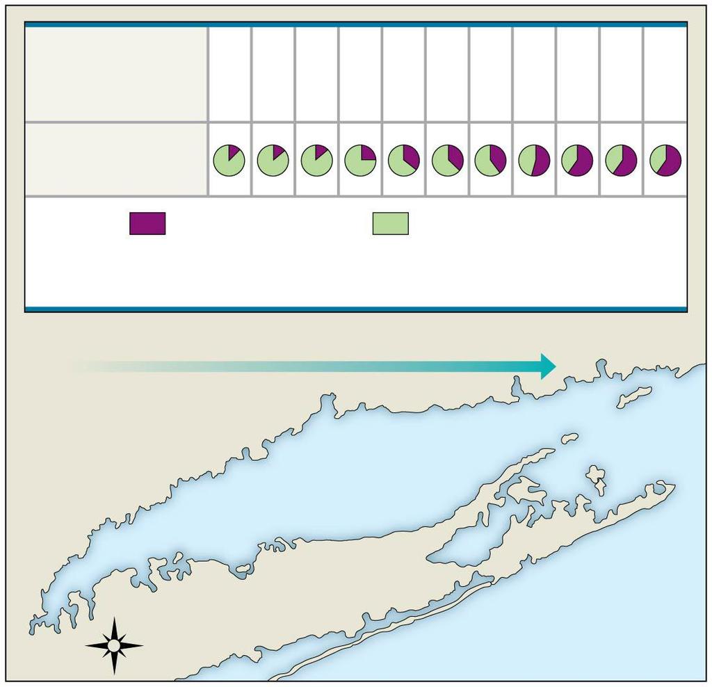 Figure 23.UN05 Sampling sites (1 8 represent pairs of sites) 1 2 3 4 5 6 7 8 9 10 11 Allele frequencies lap 94 alleles Other lap alleles Data from R. K. Koehn and T. J.