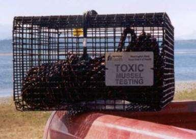 test for toxins