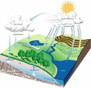 Name: Date: Biogeochemical Cycles Webquest In this webquest you will search for information that will answer questions about the water, carbon/oxygen, nitrogen and phosphorous cycles using the listed