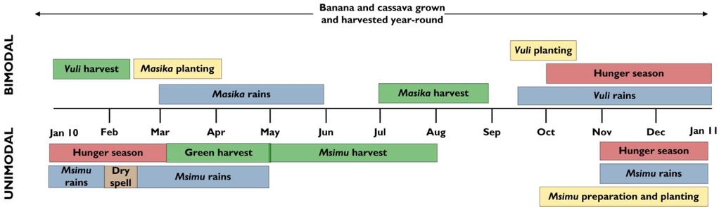 In bimodal areas, crops are generally in good condition, ranging from early vegetative growth stages to advanced vegetative growth stages with adequate soil moisture.