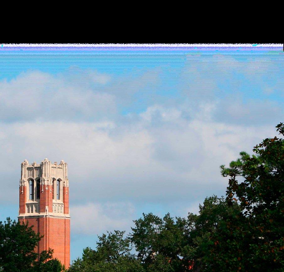 A MESSAGE FROM TOM MITCHELL The University of Florida is diligently pursuing its vision to be regarded among the very best public universities in the country.