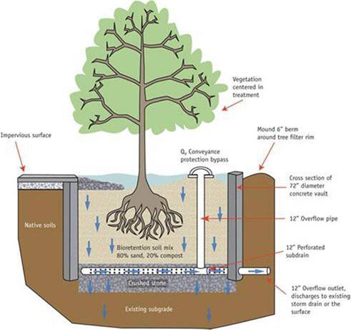 com/environment/trees-landscape/tree-planting.