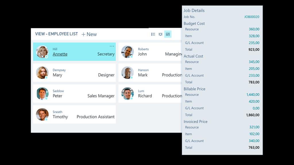 Key Capabilities Keep projects on time and under budget : manage budgets and monitor progress of your projects with realtime data on available resources.