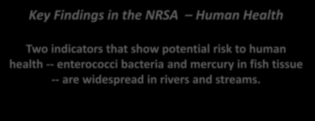Key Findings in the NRSA Human Health Two indicators that show potential risk to human health -- enterococci bacteria and mercury in fish tissue -- are widespread in rivers and streams.