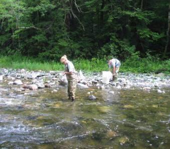 National Rivers and Streams Assessment is the latest National Aquatic Resource Survey First nationally-consistent, statistically representative assessment of the nation s rivers and streams