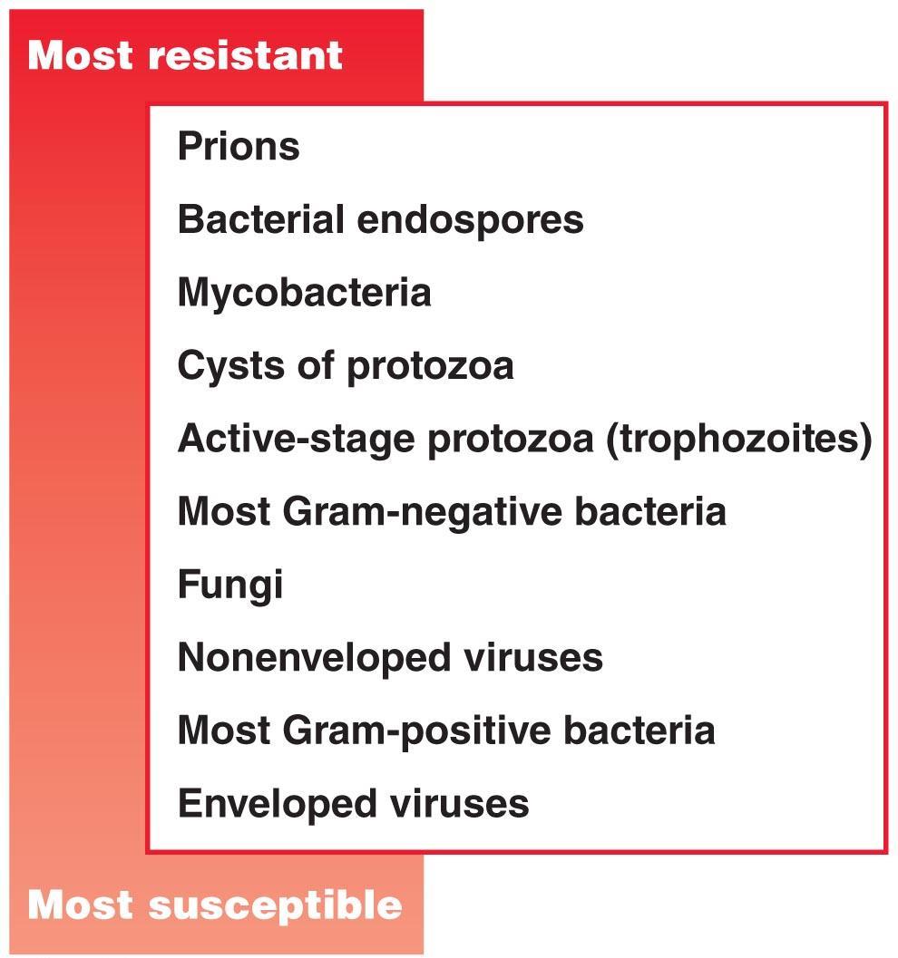 Relative susceptibility of microorganisms (Germicide classification) High-level germicides: Kill all pathogens, including endospores Intermediate-level