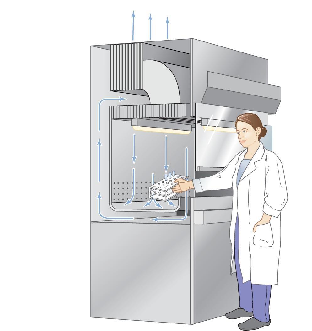 The roles of high-efficiency particulate air (HEPA) filters in biological safety cabinets.