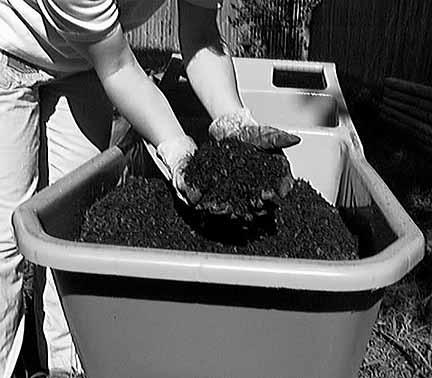 The compost pile most types of yard wastes can be composted, including leaves, grass clipping, plant trimmings, many weeds also see the handout The compost pile highly invasive weeds and treated