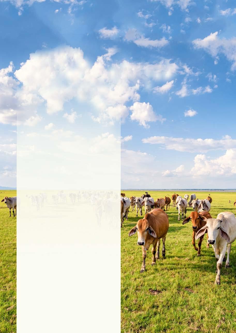 Livestock development and climate change: The benefits of advanced greenhouse gas inventories About this booklet Livestock development and climate change outcomes can support each other.