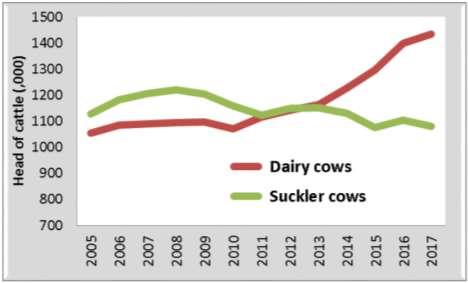 18000 dairy Average farm