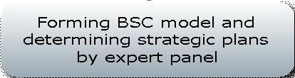 The BSC s four performance perspectives are including a traditional financial performance group of aspects, non-financial performance measurement indicators customer, internal business process and