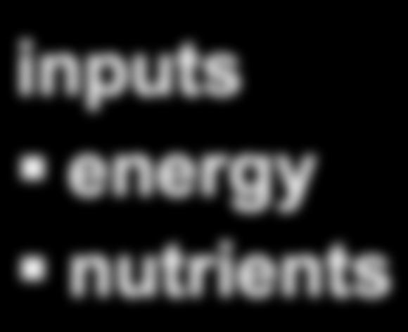 Ecosystem inputs nutrients cycle constant energy