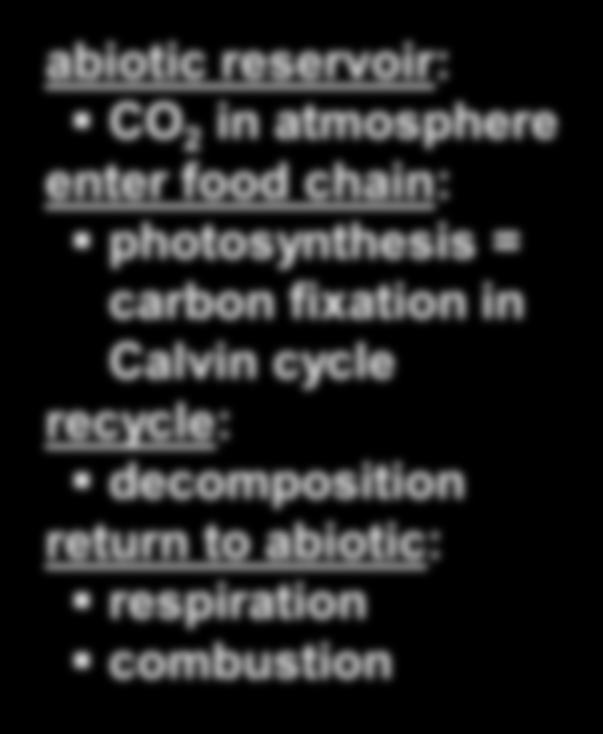 decomposition return to abiotic: Plants respiration Animals combustion Dissolved CO 2 Bicarbonates Photosynthesis