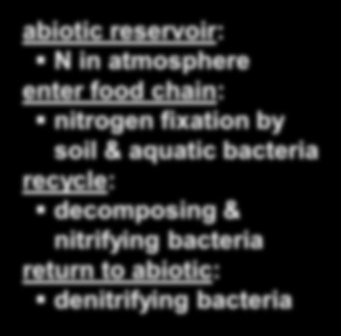 bacteria return to abiotic: denitrifying bacteria Atmospheric nitrogen Birds Plankton