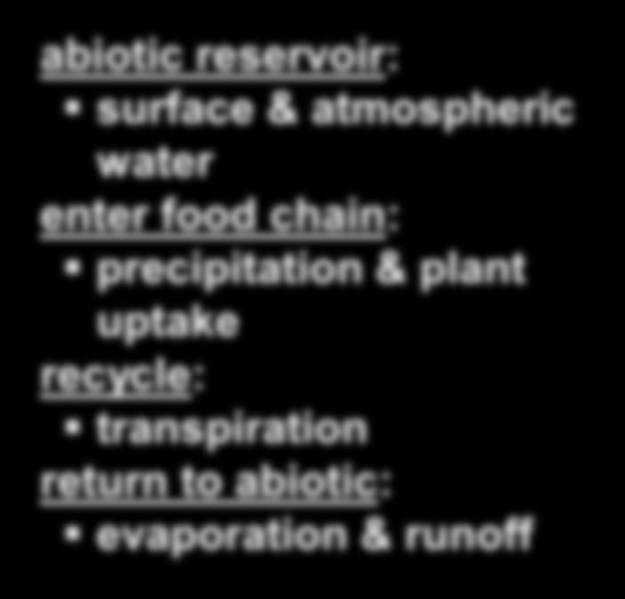 plant uptake recycle: Solar energy transpiration return to abiotic:
