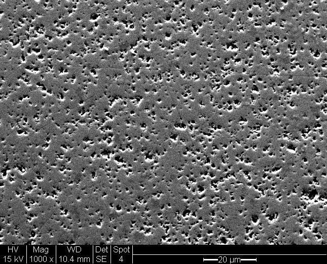 temperature on pore formation in pure BT samples are shown in SEM pictures of Fig.5.10. Here the samples were fired according to the sintering profile indicated in Fig.5.8b.