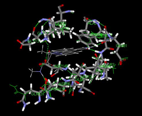 Side Chain Conformations in HUMAN CDK 2 COMPLEXED WITH THE INHIBITOR STAUROSPORINE -ChiRotor without the ligand 1aq1 ILE10 0.0651 VAL18 0.2585 LYS33 0.519 VAL64 0.