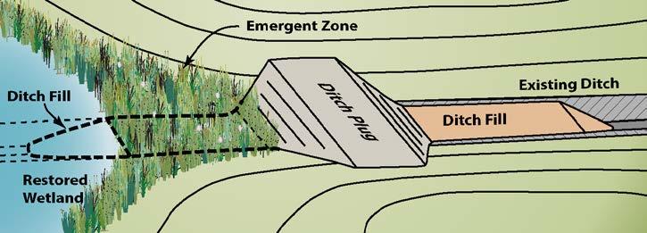 including; topography, soils, and ditch configuration. Additional discussion on this follows. Figure 4.