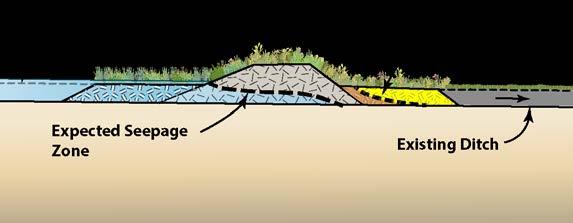 If less permeable soils exist, the length of single ditch plug is likely to be ineffective at the plug/fill block can be reduced but should not restoring hydrology to the wetland.