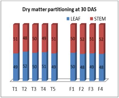 Dry matter partitioning at harvest LEAF STEM SPIKE 40 41 40 43 44 42 43 44 40 40 41 41