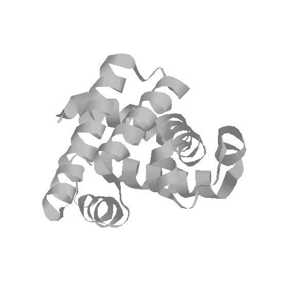 Figure 2: Myoglobin structure, discovered pattern, and schematic view. Figure 3: Ribonuclease A structure, discovered pattern, and schematic view. 5 Discussion 5.