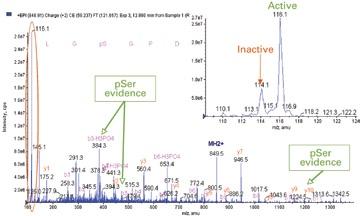 High Sensitivity Targeted Analysis In cases where post-translational modifications, such as phosphorylation, on a specific target protein are being investigated, a more sensitive and specific