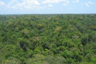 System Scene Sethi - ONERA Tropical forests