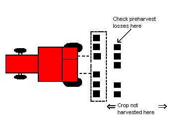 MEASURING HARVEST LOSS Yield loss Can involve complex
