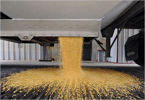 SUMMARY Harvest loss is a serious concern Often overlooked May cost producers thousands