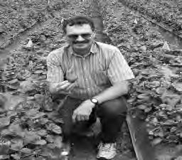 Weed Science Weed Management in Strawberry Principal Investigator Dr. Steven Fennimore Dept.