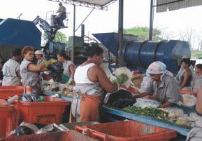 Brazil : Waste management & recycling ~ 60,000 workers in formalized recycling industry Approx 400,000 informal