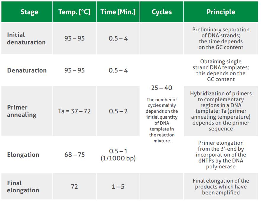 PCR cycling conditions Besides the reaction mixture formulation, the optimization of PCR cycling conditions is also necessary.