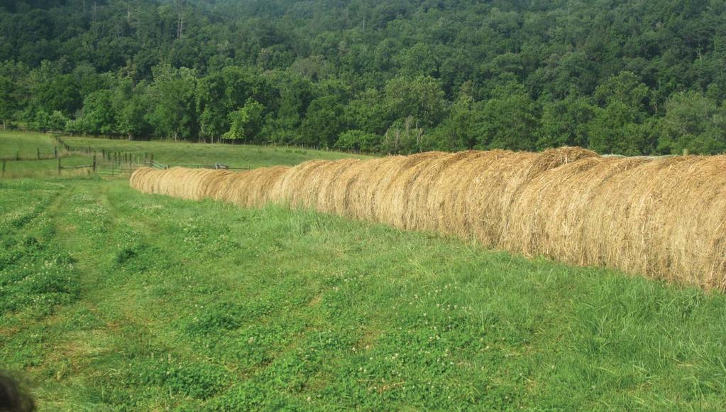 Winter Cover Crops: 3% Winter cover crops prevent erosion by keeping the