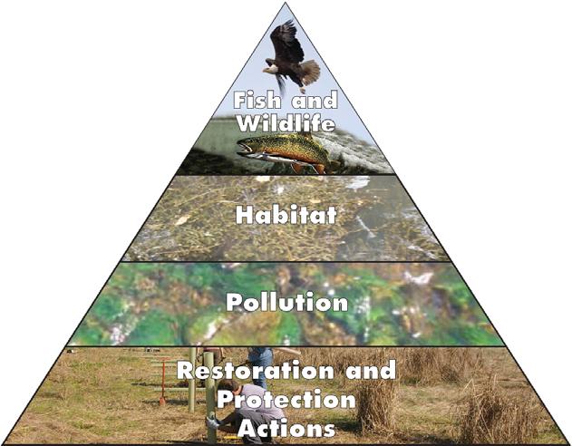 ecosystem. For each indicator, JRA has identified and compiled a key measure of river health.