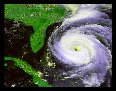 Slide 94 / 161 Increased Tropical Storms Tropical storms and