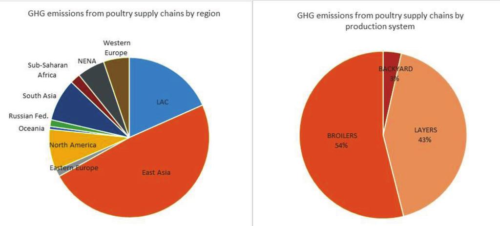 Figure 5. Greenhouse gas emissions from poultry supply chains (source: GLEAM 2.