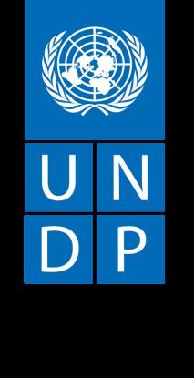 Terms of Reference Communications Consultant Title: Communications Consultant Department/Unit: Programme, UNDP Papua New Guinea Reports to: Deputy Resident Duty Station: Port Moresby, Papua New