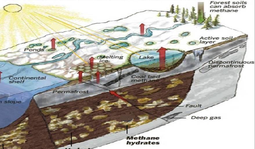 Permafrost Carbon Feedback