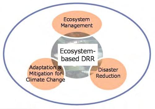 What is ECO-DRR?