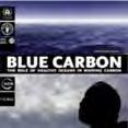 Recent international trend of Blue Carbon