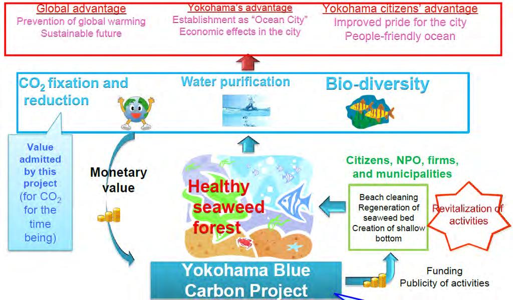Scheme of YBCP Activating the project through a quantitative evaluation and economic valuation of ecosystem services.