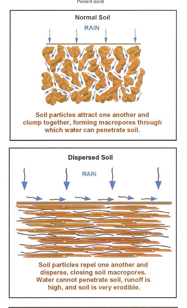 Spills of produced water or brine on soil result in two types of damage: Excess sodicity (an excess of sodium) Destroys soil structure by dispersing clays