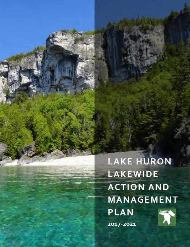 2017-2021 Lake Huron Lakewide Action