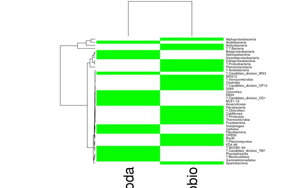 Classification against the SILVA gold aligned genes: Phylum Class Order The cluster heatmaps display relative abundances