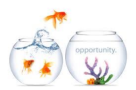 Opportunity a time or set of circumstances that makes it possible to do