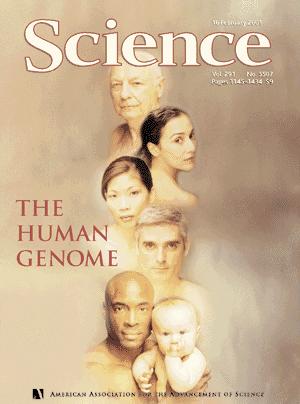 Human sequencing First draft genome of