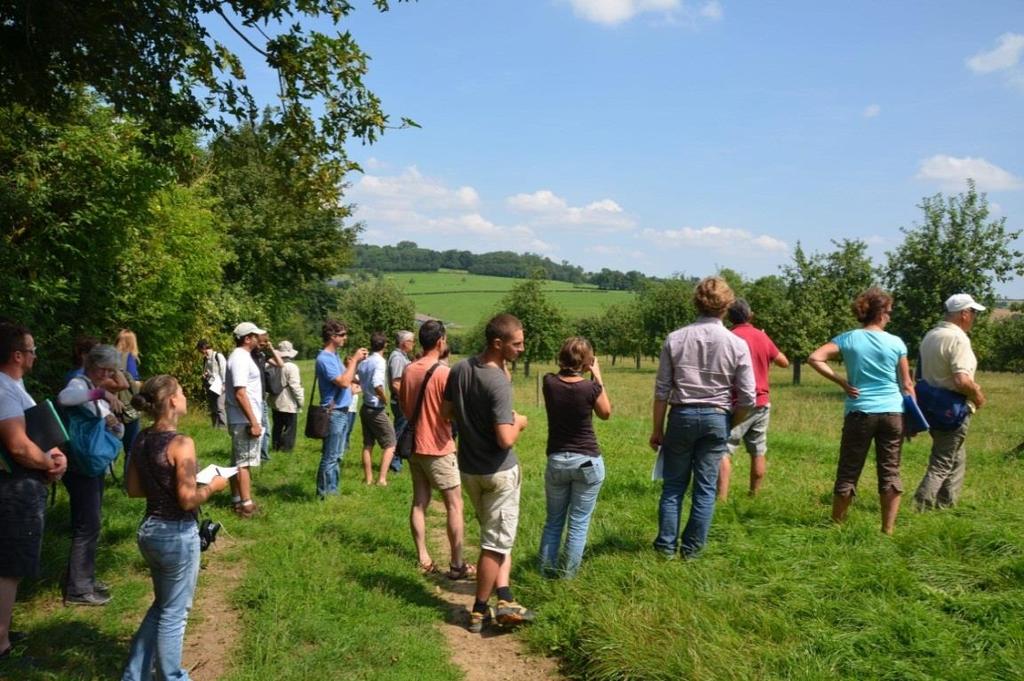 4 Figure 2. Part of the group during the presentation by Hervé Duclos 5. Field visit The low-stem orchard on the farm is planted at 4.5 m x 2.