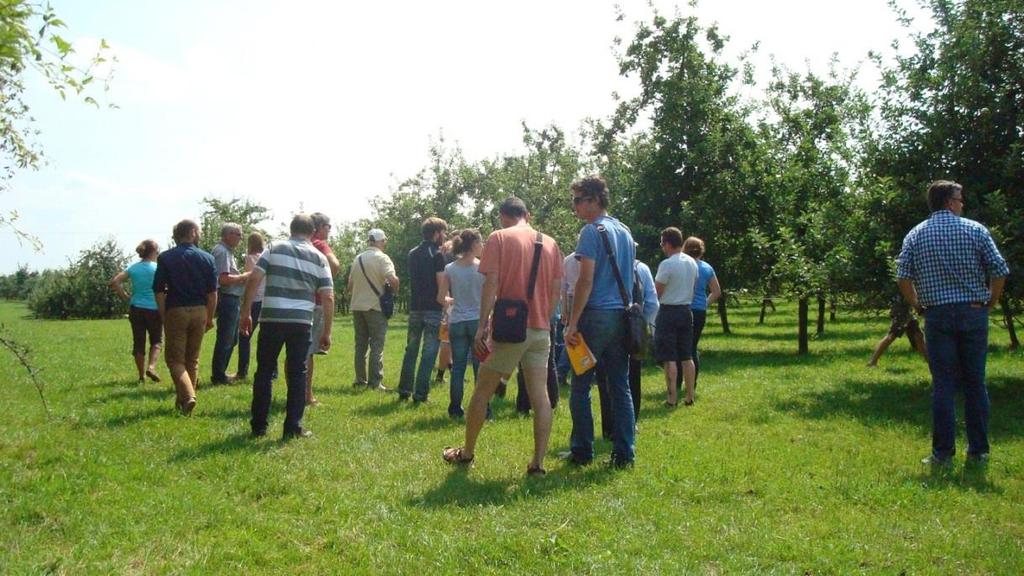 5 Figure 3. The group during the visit to the high density orchard During this meeting, there were many discussions.